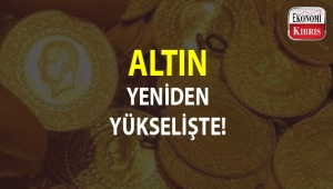Altın fiyatları yükseldi...