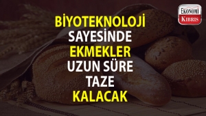 Biyoteknoloji ekmeklerin tazelik sürelerinin uzaması için çalışacak...