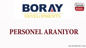 Boray Developments takım arkadaşları arıyor...