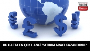 Bu hafta en çok hangi yatırım aracı kaybettirdi?