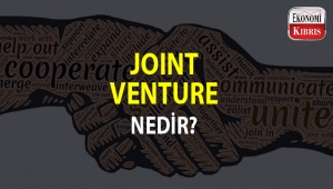 Joint venture sistemi nedir?