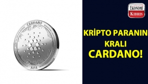Kripto para dünyasının kralı: Cardano!..