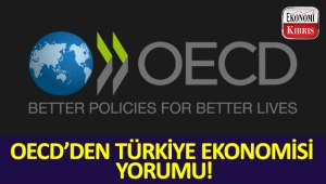 OECD, Türkiye'nin ekonomisiyle ilgili beklentilerini açıkladı...