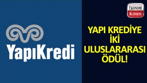 Yapı Kredi Gönüllüleri'ne 2 uluslararası ödül!..