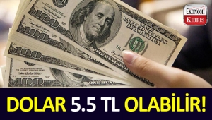 Dolar 5.5 TL’yi aşabilir!
