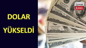 Dolar çoğu G-10 ülkesinin para birimine kıyasla yükseldi. 