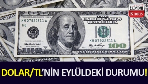 Dolar/TL'nin eylüldeki durumu ne olacak?