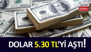 Dolar yeniden yükseliyor!