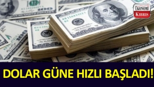 Doların yükselişi sürüyor. 