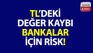 Fitche göre, TL'deki değer kaybı bankalar için risk!..