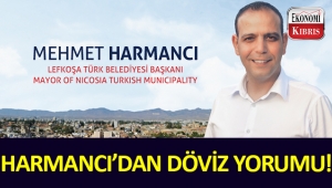 LTB Başkanı Mehmet Harmancı'dan döviz açıklaması!..