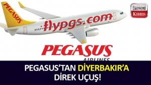 Pegasus'tan Diyerbakır'a direk uçuşlar başladı. 