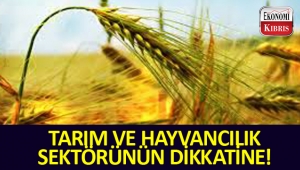 Tarım ve hayvancılığa yatırım ve işletme kredisi!