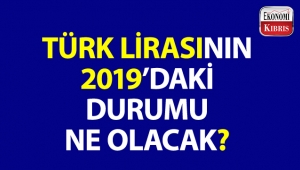Analistlerden Türk lirası yorumu! TL'nin 2019'daki durumu ne olacak?