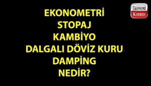 Bazı ekonomi kelimeleri ve anlamları...