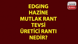 Bazı ekonomi kelimeleri ve anlamları...