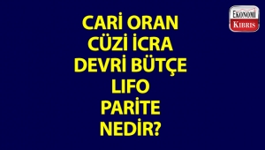 Bazı ekonomi kelimeleri ve anlamları...