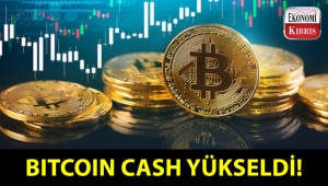Bitcoin Cash yükselişte! Bu yükselişe ne sebep oldu?..