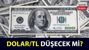 Dolar/TL'nin gidişatı bu hafta nasıl olacak? 
