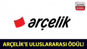 Arçelik, hayata geçirdiği 