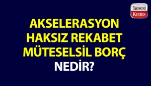 Bazı ekonomi kelimeleri ve anlamları...