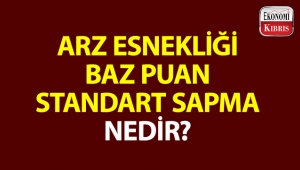 Bazı ekonomi kelimeleri ve anlamları...