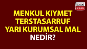 Bazı ekonomi kelimeleri ve anlamları...