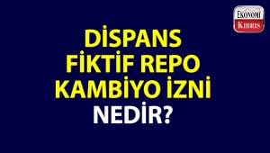 Bazı ekonomi kelimeleri ve anlamları...