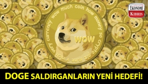 Siber saldırılar Dogecoin kullanıcılarını hedef alıyor!..