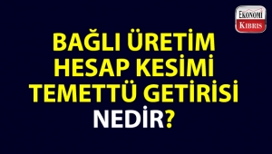 Bazı ekonomi kelimeleri ve anlamları...