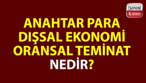 Bazı ekonomi kelimeleri ve anlamları...