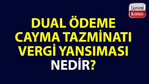 Bazı ekonomi kelimeleri ve anlamları...