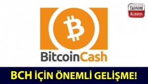 BTC.top, BCH için önemli bir 