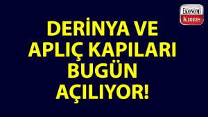 Derinya ve Aplıç sınır kapıları bugün geçişlere açılacak!