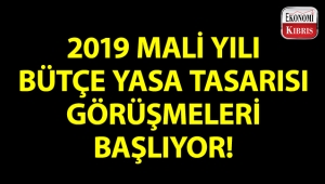 Ekonomi, Maliye, Bütçe ve Plan Komitesi, 2019 bütçe görüşmeleri yarın başlıyor!..