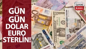 Gün, gün; Dolar, Euro, Sterlin! 10-16 Kasım 2018