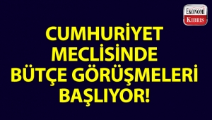 Cumhuriyet Meclisi Genel Kurulundaki bütçe görüşmeleri önümüzdeki hafta başlıyor!..