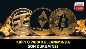 Kripto para fiyatları düşerken, kullanıcı sayısındaki vaziyet nasıl?