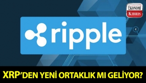 Ripple ile Mollie arasında ortaklık mı kuruluyor?..
