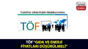 TÖF, akaryakıt, tüp gaz ve elektrik fiyatlarının indirilmesi için hükûmete çağrıda bulundu!..