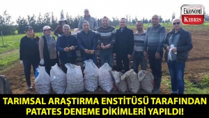 Tarımsal Araştırma Enstitüsü tarafından ilk patates deneme dikimleri yapıldı!..