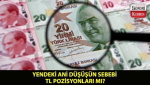 TL'deki pozisyonlar, yende yaşanan ani düşüşün nedeni olabilir mi?..