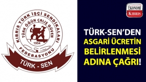 TÜRK-SEN: 