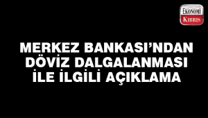 Merkez Bankası dövizdeki dalgalanma ile ilgili açıklama yaptı..