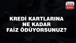 Kredi kartlarına ne kadar faiz ödüyoruz?