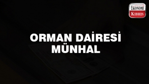 Orman Dairesi münhal açtı..