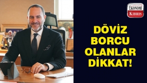 Emre Alkin: Döviz borcu olan gevşemeyi fırsata çevirsin