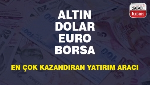 Hangi yatırım aracı ne kadar kazandırdı?