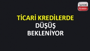 Ticari kredilerde düşüş bekleniyor.. 