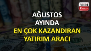 Ağustos ayında en çok hangi yatırım aracı kazandırdı?